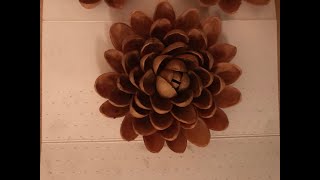 Lets Create Something Interesting From Pista Shells