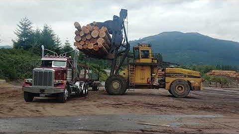 Peterbilt log truck unloading at Hampton lumber in Darrington Wa.8-16-21