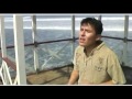ME ENAMORE DE TI - M´ KADDESH