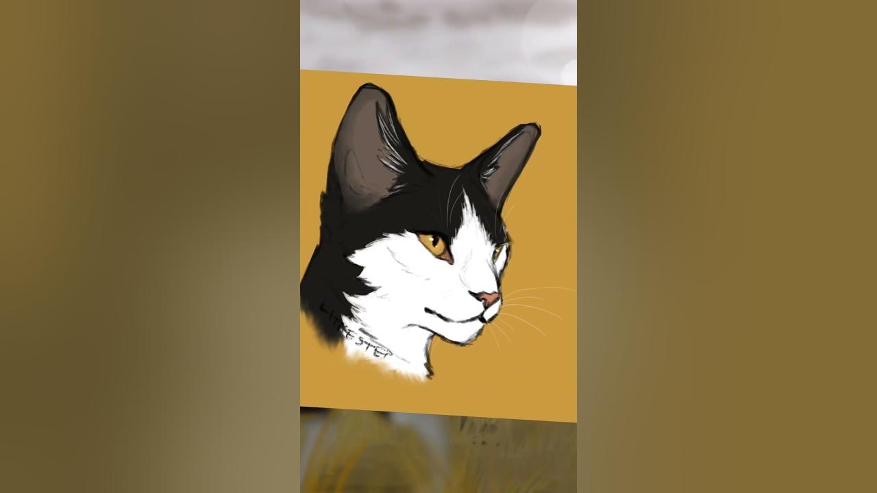 Коты-воители Звёздный Луч. #активвернись #котывоители #хочуврек - YouTube
