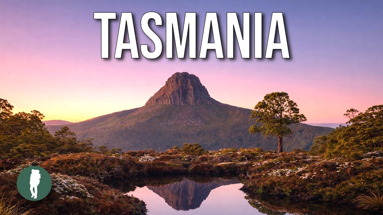 Tasmania’s Hidden Wonders Rare White Echidna & More | 4K Documentary