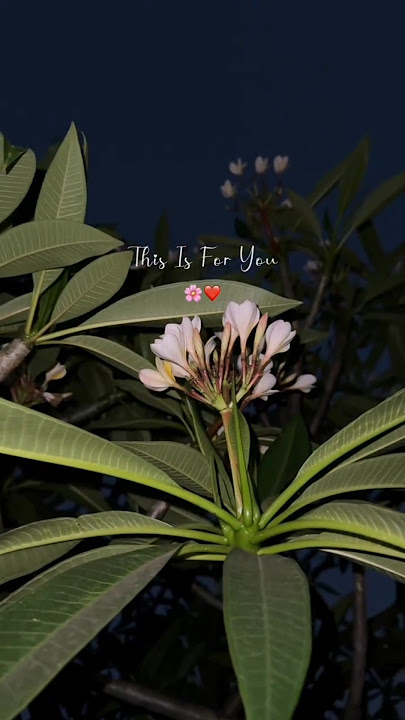 Main Aur Tum🤵🏻❣️👰🏻 #lyrics #viralvideo #love #status