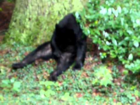 teddy to masturbate using Girls bears Porno photo Old lady tortures clit of slave