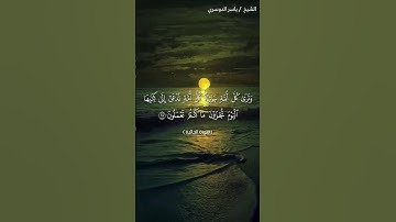 سورة الجاثية من آية 28 إلى آية 30 بصوت الشيخ ياسر الدوسري♥♥