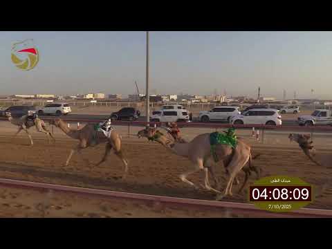 سباق الإيذاع الطي 07 10 2025 ش6 حاضر ل عتيق مطر حسن القبيسي 6 12