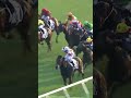 1 | MAGNIFIQUE | J Orman | #JOrman #Orman #Horse #Racing #Sport #Results #賽馬結果 #马會 #油管 #赛马结果