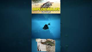 นักล่าไข่มุก | Diplocaulus #shorts #gaming #ark