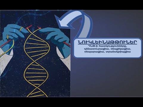 Video: Ո՞րն է ԴՆԹ պոլիմերազի ձևավորված նոր շղթայի հաջորդականությունը: