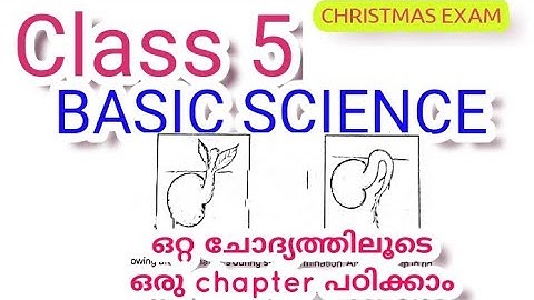 Second Terminal Examination | 5th Standard | Basic Science | SOLVED QUESTION PAPER |#Class5Second