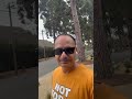 A message to dog owners