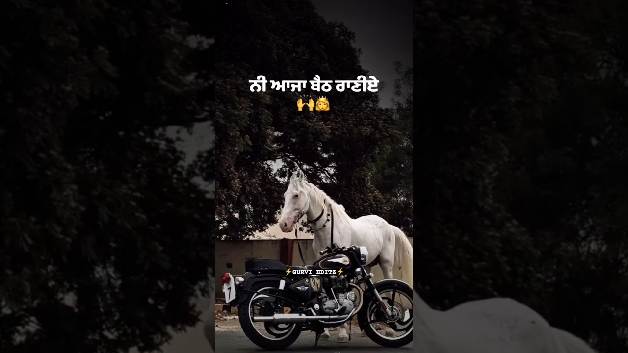 Zadumal Da Staryy Ded - YouTube Auto PHP Script