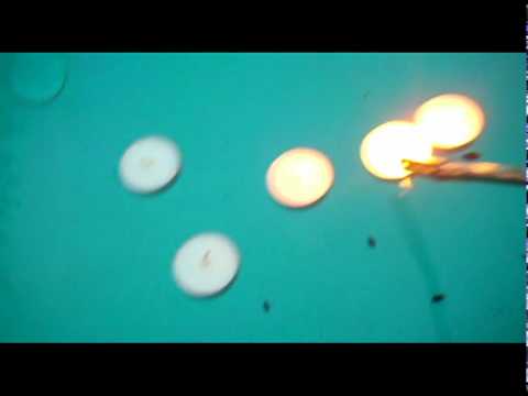 Day 271 of Firsts: Light the Pool with Floating Ca...