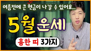 [띠별 운세] 양력 5월, 큰 돈이 나갈수 있는 불리한 띠 3가지 !! 반드시 조심하세요