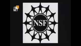 NSF/Corporation for Public Broadcasting/PBS/Thirteen WNET New York/Luk Internacional S.A. (V1)