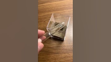 How To Make An Ant Farm