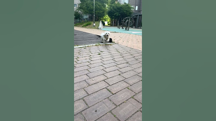 그가 다가온다..! 심장아 나대지마🫶🫶🫶