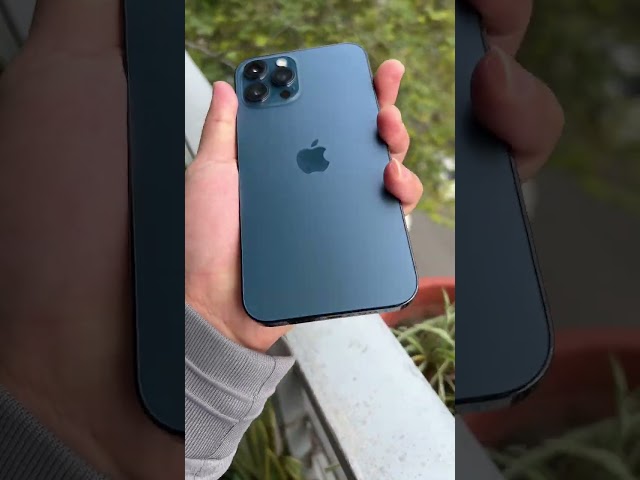 iPhone 12 Pro Max 256GB giá 12 triệu nó đẹp thế này đây!