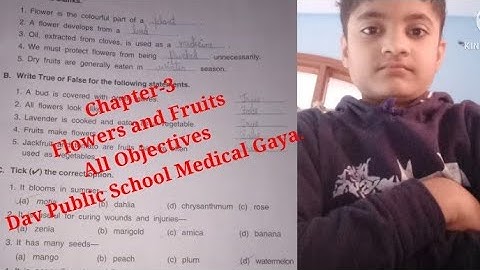 Chapter-3/Flowers and Fruits/Class-4/DAV/All Objectives.