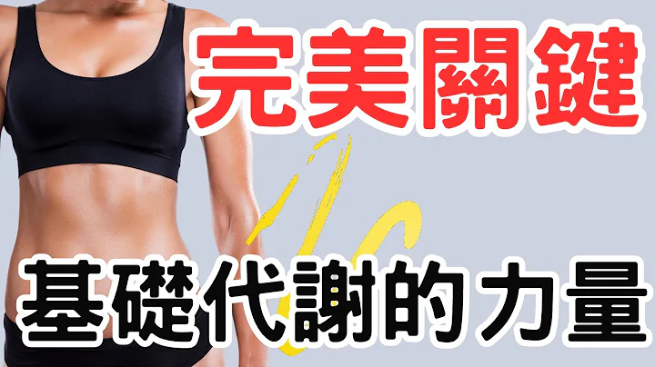 燃燒脂肪，改變命運：解密提高基礎代謝的關鍵策略 掌握基礎代謝的力量 - 天天要聞