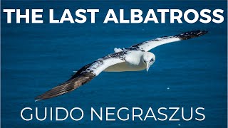 ‘The Last Albatross’ Dreamy New Age 🎧 relax, heal, sleep, study, ambient music by Guido Negraszus