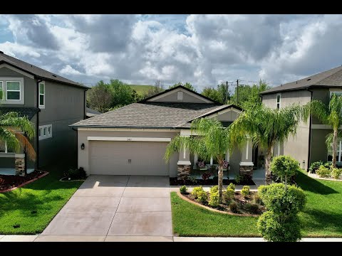 11431 Alachua Creek Ln, Riverview, FL home video tour