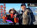巻くだけで簡単に魚が釣れちゃう！ZEAKEのNEWルアー『Bザッパー』で爆釣！