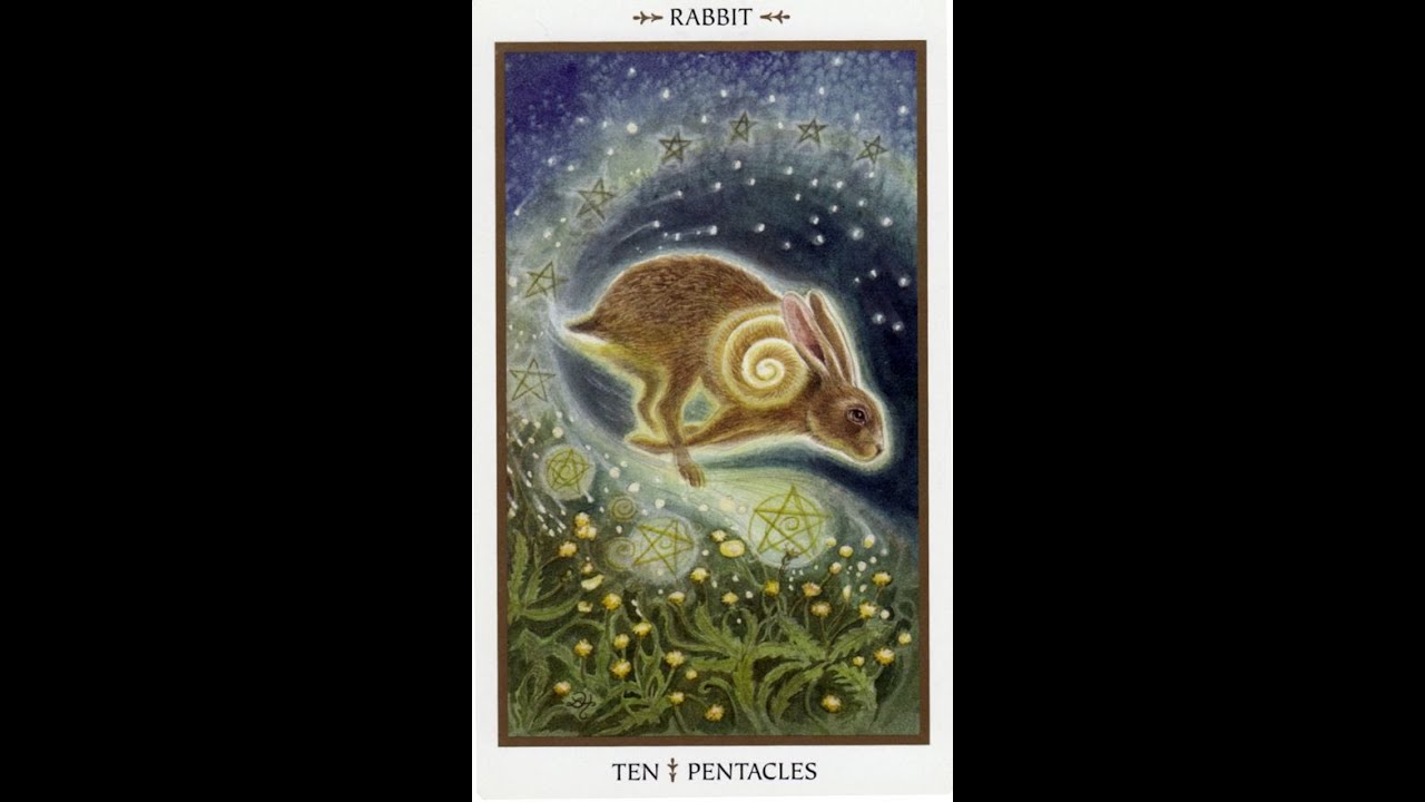 Animals Divine Tarot  By Lisa Hunt full deck flip through