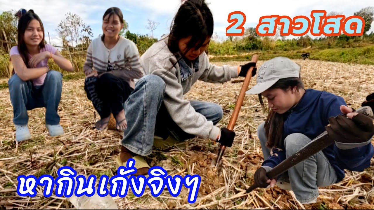 สาว ก็ก สาวแลด หากินเก่งหมากๆถ้าไม่หากินก็ไม่มีอะไรจะกินเลยเพราะไม่มีเงินชื้อ1 มีนาคม ค.ศ. 2026