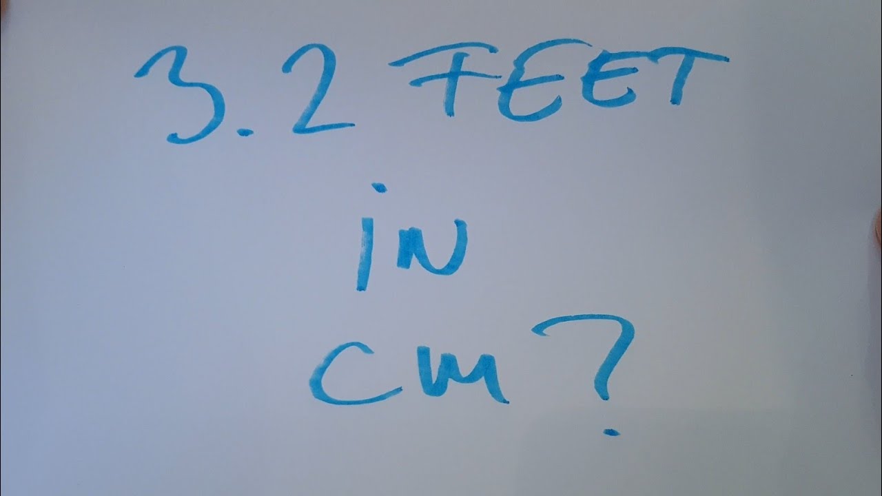 3.2 Feet In Cm?