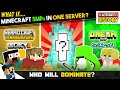 What if, Dream SMP, Hermitcraft, SciCraft and more in ONE SERVER?!