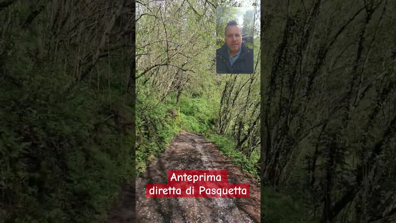 Imperdibile diretta anteprima di Pasquetta da Parre, a 59.000 euro con box e cantina..