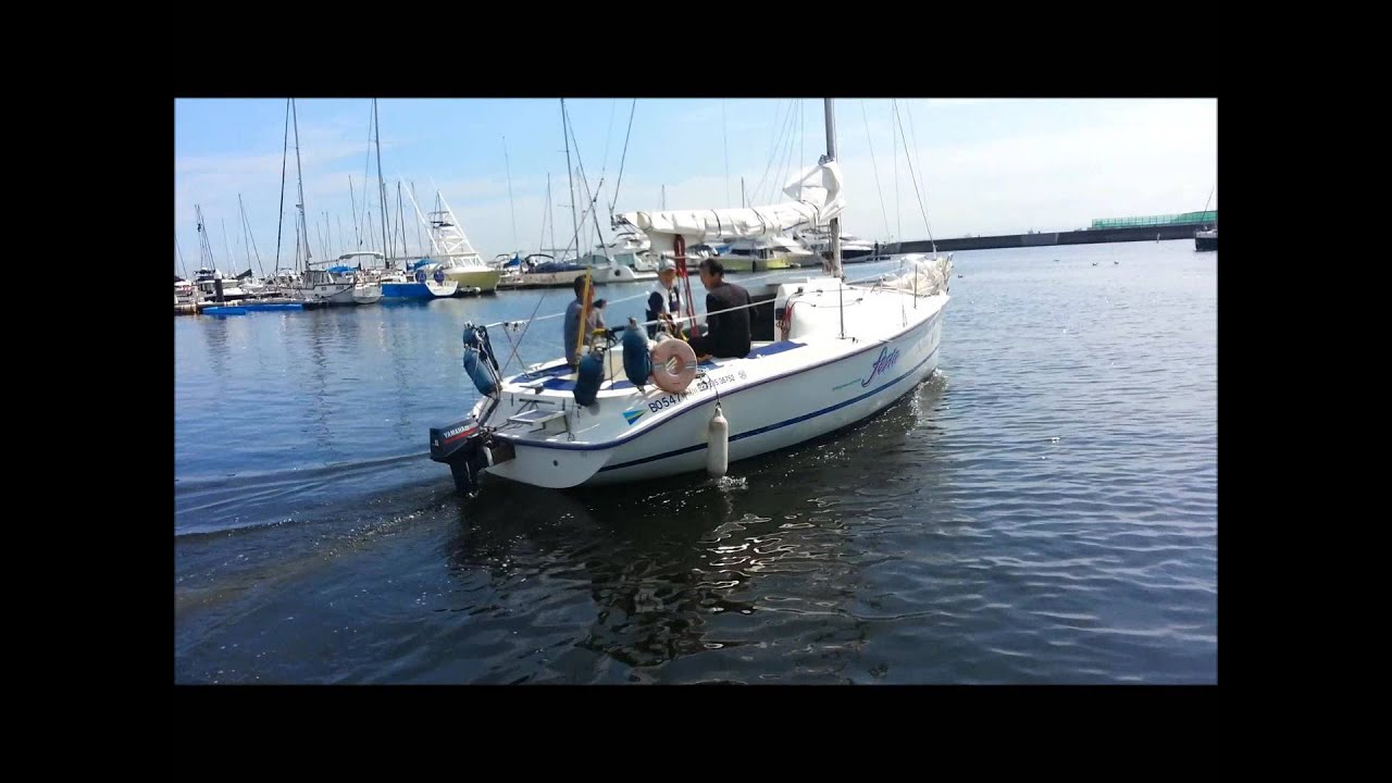 selfish cats - YouTube