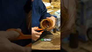 Doğanın Süper Bitkisi