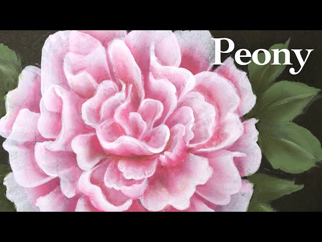 Prickly Pear and Peonies Watercolor Painting for Beginners Easy Art  Painting Mini Kit DIY — Pink Puddle Studio