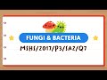 Understanding Bacteria and Microorganisms