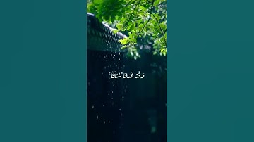 حالات واتس اب دينية⭐ومالنا ألا نتوكل على الله وقد هدانا سبلنا⭐(سورة ابراهيم)