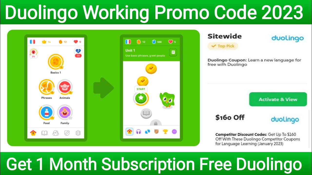 Working Duolingo Promo Codes 2023 Verified Promo Code for Duolingo