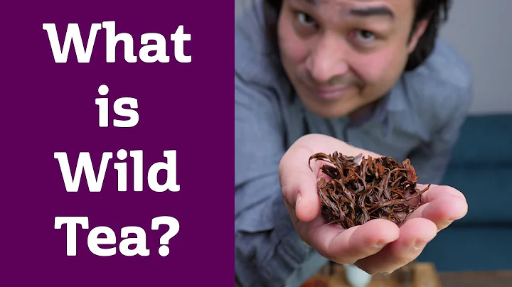 What is WILD Tea? Tasting an ancient tea variety. - DayDayNews