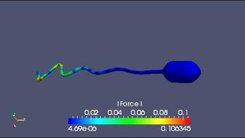 Swimming microorganism