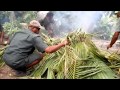 How To Cook Food Underground -  Fiji Lovo or Earth Oven in South Pacific. Like Hawaii Kālua Imu