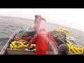 Salmon Seining - Sand Point, Alaska