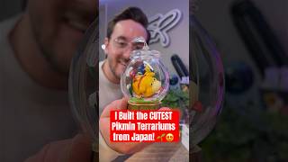 I Built the CUTEST Pikmin Terrariums from Japan! 🌱😍 (RE-MENT Blind Boxes)
These RE-MENT Pikmin blind box terrariums are adorable! In this Short, were checking out all of the figurines from Collection 1 and 2. These highly detailed, buildable mini scenes capture iconic Pikmin moments like battles, exploration, Dandori challenges and even a glow-in-the-dark Night Expedition. If you’re into Pikmin collectibles, Nintendo figures or blind box unboxings, you’re going to love these! Thanks to @HameeUS for sending these over!
#nintendo #blindbox #pikmin #nintendoshorts #collectibles #unboxing #japan #figurines #toyshorts #shorts
✅ Subscribe for NEW videos EVERY Thursday and Sunday!
➸ https://www.youtube.com/raystrazdas?sub_confirmation=1
🎁 Shop my Amazon Storefront and discover my favorite tech, gaming gear & travel essentials through curated lists:
➸ https://www.amazon.com/shop/raymondstrazdas
🎮 Support the channel & explore the work that I do:
➸ https://www.raymondstrazdas.com/support
🤩 CONNECT WITH ME!
➸ Website – https://www.raymondstrazdas.com
➸ Instagram – https://instagram.com/raymondstrazdas
➸ TikTok – https://tiktok.com/@raymondstrazdas
➸ X (Twitter) – https://twitter.com/raystrazdas
➸ Discord – https://discord.gg/7h7ntJG8H7
➸ LinkedIn – https://linkedin.com/in/raymondstrazdas
➸ Amazon – https://www.amazon.com/shop/raymondstrazdas
➸ Facebook – https://facebook.com/raystrazdas
➸ YouTube – https://www.youtube.com/raystrazdas
🎥 MY GEAR & SETUPS
Explore my 2026 Work From Home, YouTube Studio & Gaming Setups!
➸ 2026 Work From Home Office Desk Setup - https://www.amazon.com/shop/raymondstrazdas/list/26WN1ZZR8ZJ1H
➸ 2026 YouTube Studio Setup - https://www.amazon.com/shop/raymondstrazdas/list/2XJ9V0F8P4RPG
➸ 2026 Gaming Home Theater Setup - https://www.amazon.com/shop/raymondstrazdas/list/3NDVRU15EQOZ3
➸ Camera Gear I’m Using - https://www.amazon.com/shop/raymondstrazdas/list/TKZGKJ3YF8V6
Cameras & Lenses
➸ Sony a7IV - https://amzn.to/3BReSsR
➸ Insta360 GO Ultra - https://amzn.to/4qn06lw
➸ DJI Osmo Action 6 - https://amzn.to/4upghRF
➸ Insta360 X5 - https://amzn.to/3HQAcVP
➸ Insta360 Flow 2 Pro Gimbal - https://www.insta360.com/sal/flow-2-pro?utm_term=INRX9LL
➸ Sony FE 16mm f/1.8 G Ultra Wide Angle Lens - https://amzn.to/42SWcqJ
➸ Sony FE PZ 16-35mm f/4 Wide Angle Lens - https://amzn.to/43j5hqw
➸ Sony FE 24-70mm f/2.8 GM II - https://amzn.to/3tBMcmH
➸ Sigma 105mm f/2.8 Macro Art Lens - https://amzn.to/3N2bIJr
Audio/Microphones
➸ DPA 2017 Shotgun Mic - https://amzn.to/3GedW7G
➸ Elgato Wave XLR - https://amzn.to/3PWxP3Y
➸ Zoom F3 Audio Recorder - https://amzn.to/46rE1rU
➸ Sony ECM-B10 Shotgun Mic - https://amzn.to/43r52cP
My Backpacks, Camera Cases & EDC Gear
➸ Grams(28) Mars Rover 302 Sling - https://www.grams28.com/products/mars-rover-302-adventure-sling
➸ Nomatic Luma Camera Backpack - https://amzn.to/4aTSLld
➸ Nanuk 925 Hard Shell Case - https://amzn.to/3l7e9Lw
➸ tomtoc 3.5L EDC Sling Bag - https://amzn.to/4hKszxl
➸ tomtoc 1.5L X-Pac Sling Bag - https://amzn.to/4b57KtF
Assorted Gear
➸ Peak Design Travel Tripod - https://amzn.to/3l8lcU5
➸ PGYTECH Quick Release Plates & Adapters - https://amzn.to/3rX3Y3n
➸ Moment MagSafe Pro Mount - https://amzn.to/3ZUh8L1
➸ Elgato 4K S Capture Card - https://amzn.to/4hmcHkR
➸ Elgato Key Light Mini - https://amzn.to/3PdcORE
(PLEASE NOTE! Some links in this description are AFFILIATE LINKS and a small commission is received if purchases are made through them. There is no extra cost to you for purchasing your favorite items and doing this greatly helps me in creating content, upgrading equipment, getting products to review and so on. Thank you for your continued support!)
🧐 ABOUT ME
I’m Raymond Strazdas — an award-winning filmmaker, tech reviewer and digital creator based in New Jersey. I combine cinematic storytelling with a love for technology, design and all things Nintendo. From smart home tours to creative desk setups and gaming deep dives, my videos are made to inspire creativity, spark new ideas and share the excitement of what’s next in the world of tech.
⭐ Learn more about the work that I do on my website!
https://www.raymondstrazdas.com
🎬 Have a video idea or want to collab together? Hit me up!
http://www.raymondstrazdas.com/contact
I Built the CUTEST Pikmin Terrariums from Japan! 🌱😍 (RE-MENT Blind Boxes)
https://youtube.com/shorts/Qk2LMvYRtSc
Raymond Strazdas
http://www.youtube.com/raystrazdas I Built the CUTEST Pikmin Terrariums from Japan! 🌱😍 (RE-MENT Blind Boxes)