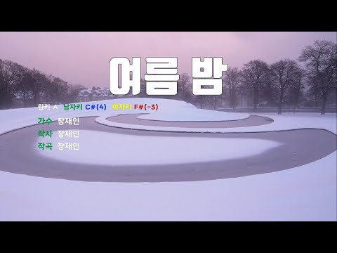 [은성 반주기] 여름밤 - 장재인