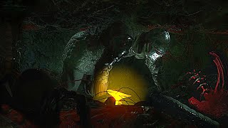 Horror Game Where You Crawl Through A Fantasy Dungeon Cave Full Of Bugs - Fear Underground screenshot 5