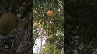 Download Lagu sepecial DJ Dewi on the mix nyapsap 💔🚀 MP3