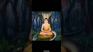 lord buddha meditation nirvana buddham Sharanam gachhami???