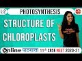 Photosynthesis - Lecture 2 | NEET Biology | Vedantu Master Class | AIIMS & JIPMER Tips | Vani Sood