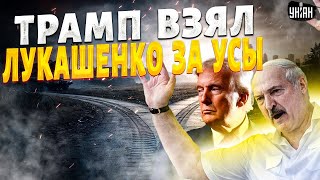 "Путина разрывает от злости! Лукашенко нашел себе нового хозяина. Трамп отжимает Минск у Москвы"
