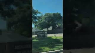 Lubbock, Texas, On A Sunday Afternoon With A Fighting Couple