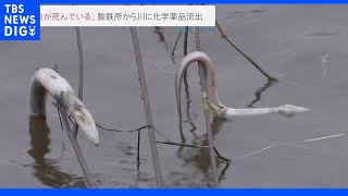 日本製鉄の製鉄所から川に化学薬品流出　水が赤茶色に変色し魚死ぬ　千葉・君津市｜TBS NEWS DIG